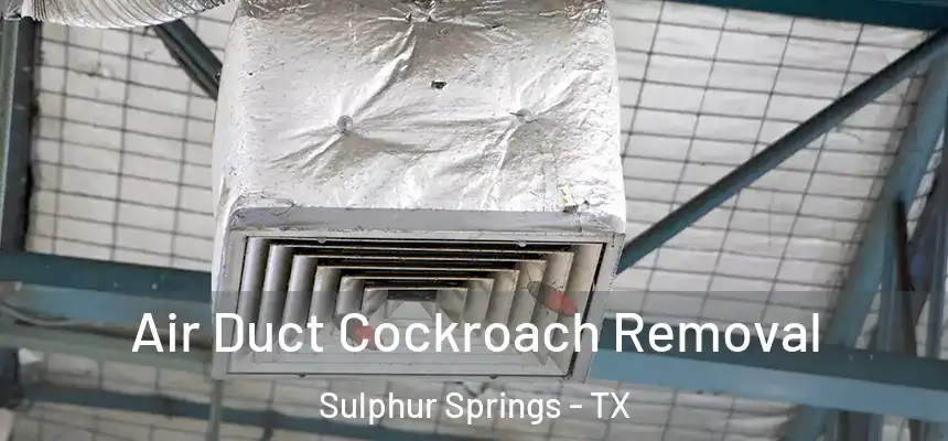  Air Duct Cockroach Removal Sulphur Springs - TX