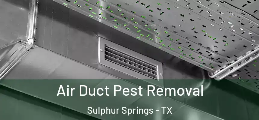  Air Duct Pest Removal Sulphur Springs - TX