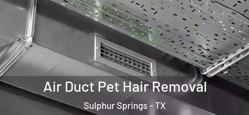Air Duct Pet Hair Removal Sulphur Springs - TX