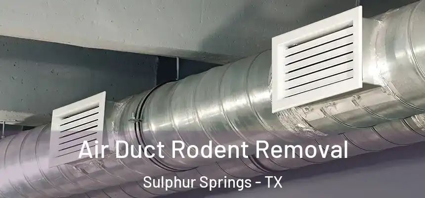  Air Duct Rodent Removal Sulphur Springs - TX