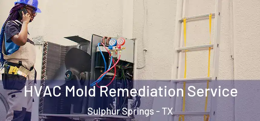  HVAC Mold Remediation Service Sulphur Springs - TX