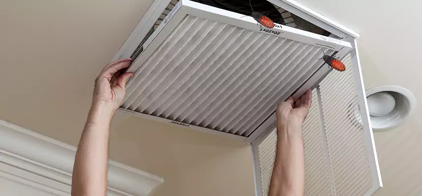 Preventive Cockroach-Proofing for Ducts in Sulphur Springs