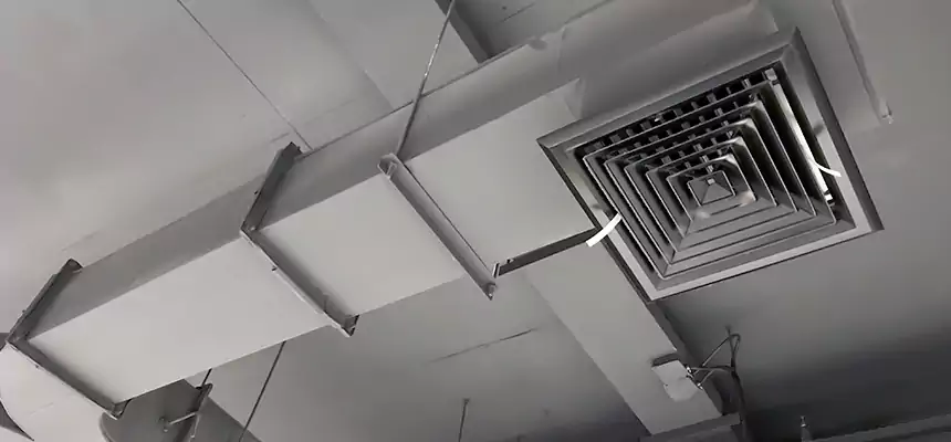 Restorative Allergy Relief Vent Cleaning – Coil, Blower & Housing Detail in Sulphur Springs