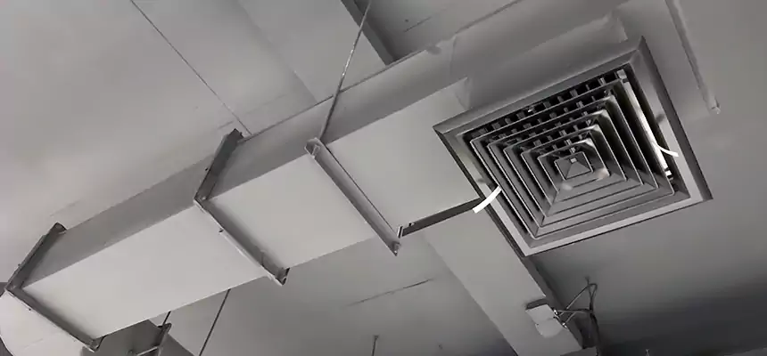 Our Pest Removal From Ducts Services in Sulphur Springs, TX