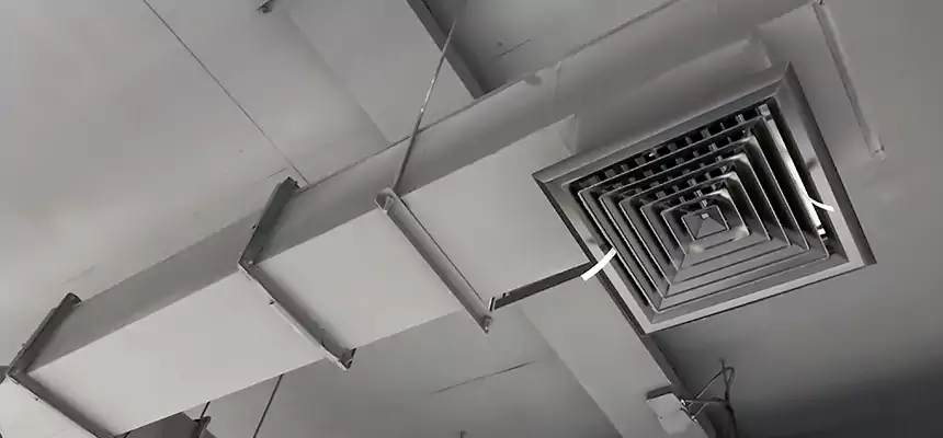 Our Rodent Droppings In Vents Services in Sulphur Springs, TX