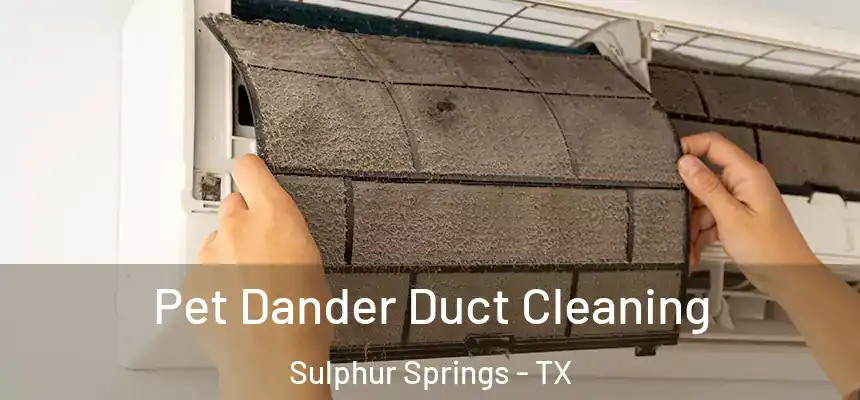 Pet Dander Duct Cleaning Sulphur Springs - TX