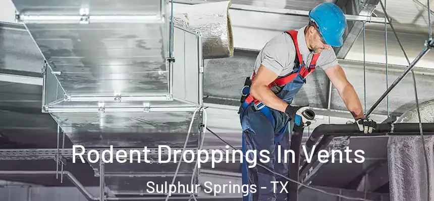 Rodent Droppings In Vents Sulphur Springs - TX