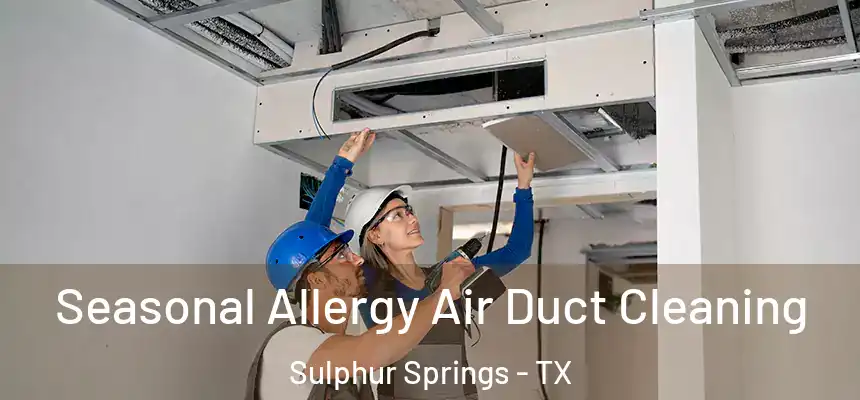 Seasonal Allergy Air Duct Cleaning Sulphur Springs - TX