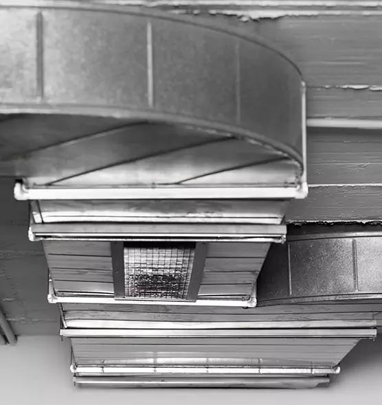 Professional Air Duct Pest Removal in Sulphur Springs, TX